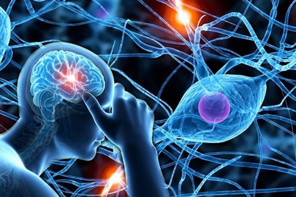 Department of Multiple Sclerosis, Autoimmune, and Inflammatory Neurological Diseases