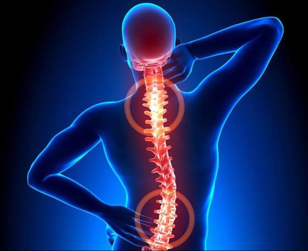 Department of Vertebroneurology and Peripheral Nervous System